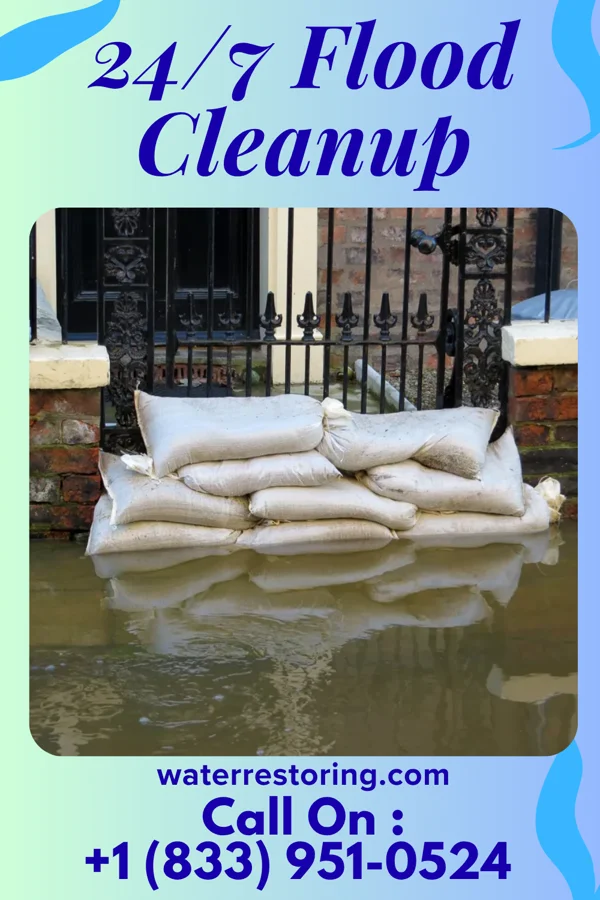 24/7 Flood Cleanup in Belgrade, MN