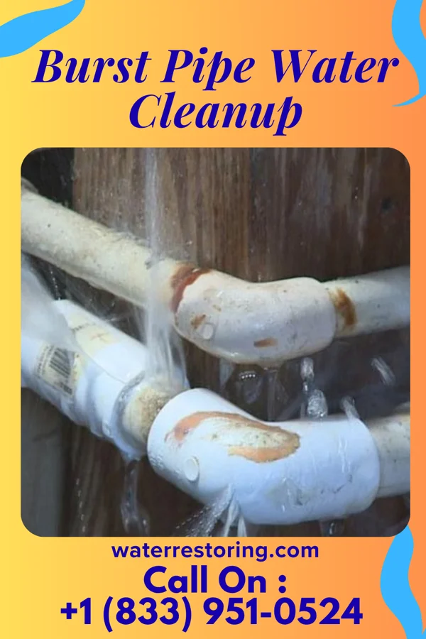 Burst Pipe Water Cleanup in Belgrade, MN