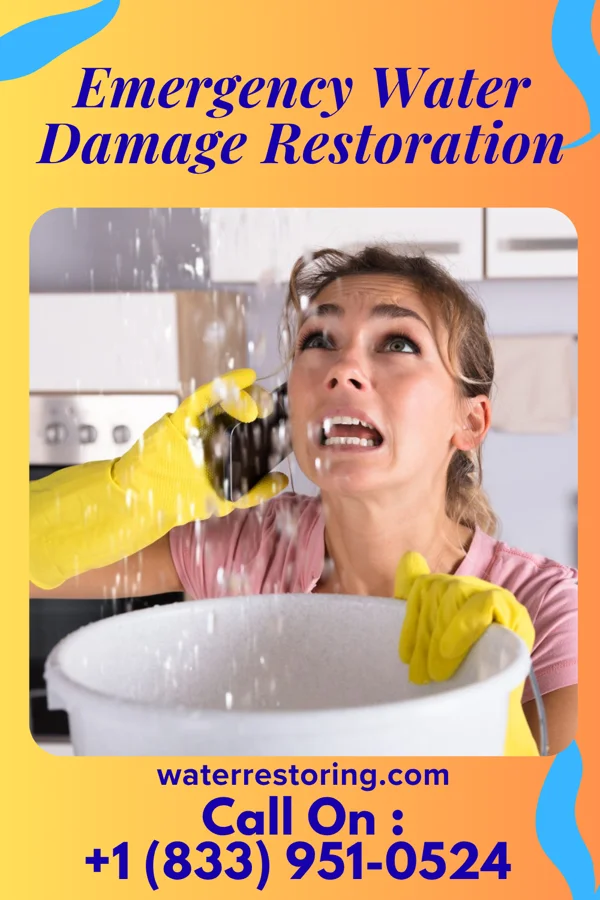 Emergency Water Damage Restoration in Belgrade, MN