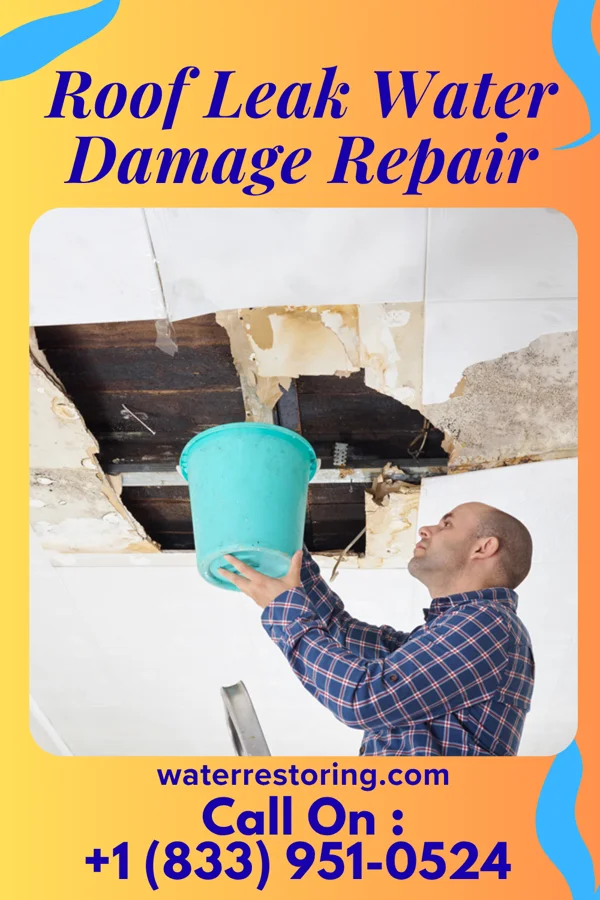 Roof Leak Water Damage Repair in Belgrade, MN